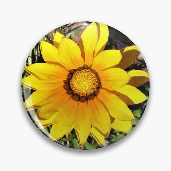 Item preview, Sunflower 1 designed and sold by Ivan Fernandez.