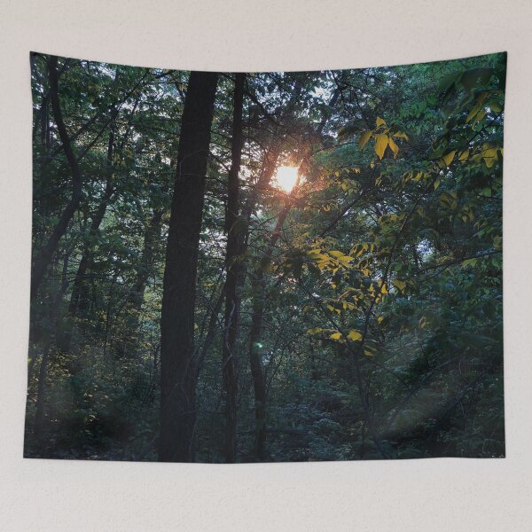 Item preview, Mystical Forest Photo designed and sold by Katelyn Wollschlager.
