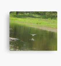 Plunger Canvas Print
