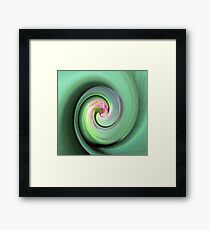 Twirled Tulip Framed Print
