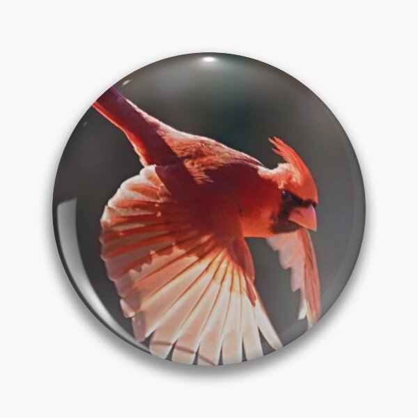 Item preview, Flying Cardinal Ready to Swoop designed and sold by Chapperson.