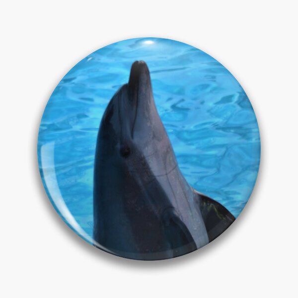 Item preview, Dolphin 1 designed and sold by Ivan Fernandez.