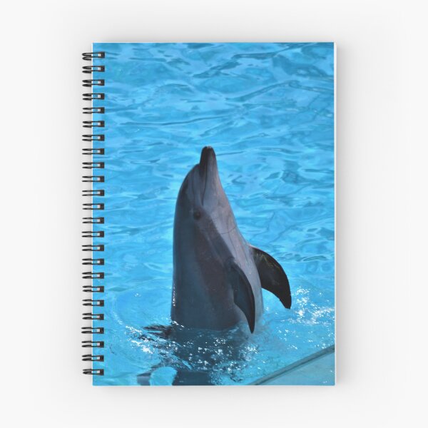 Item preview, Dolphin 1 designed and sold by Ivan Fernandez.
