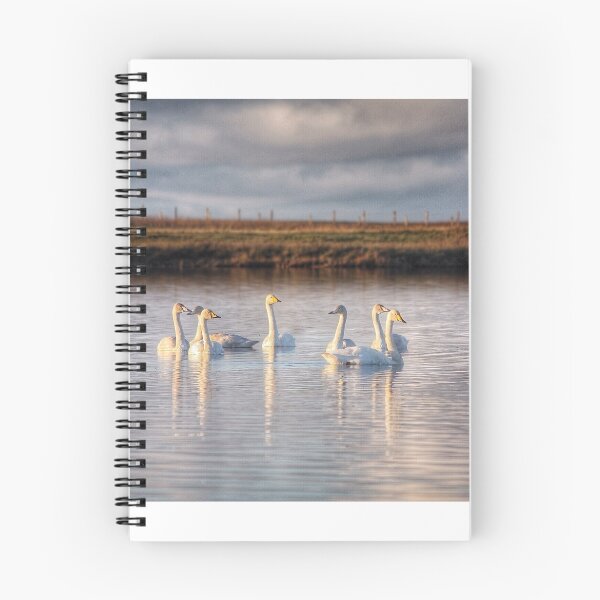 Item preview, The Whoopers designed and sold by JefM.