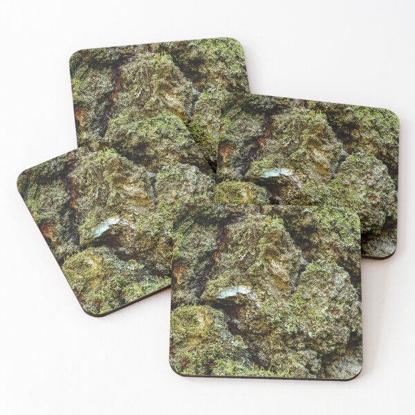 Item preview, birch tree bark in moss texture designed and sold by yarvin13.