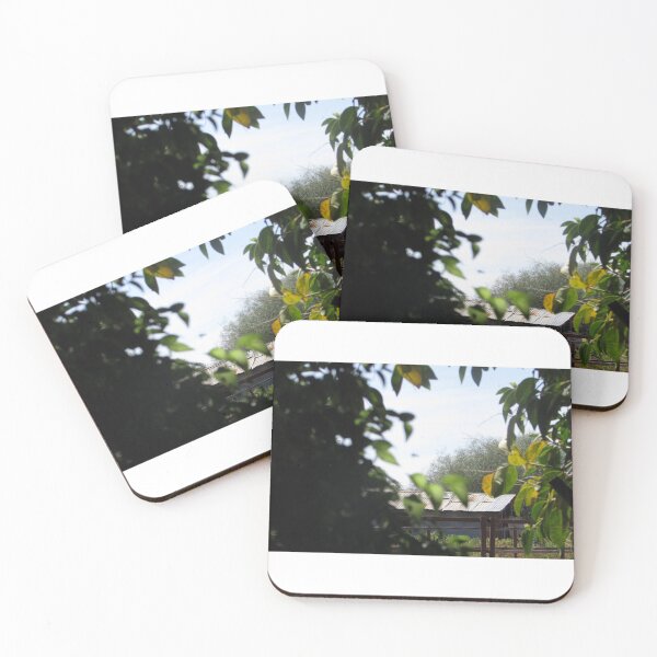 Item preview, Old shed through the trees designed and sold by Dee121.