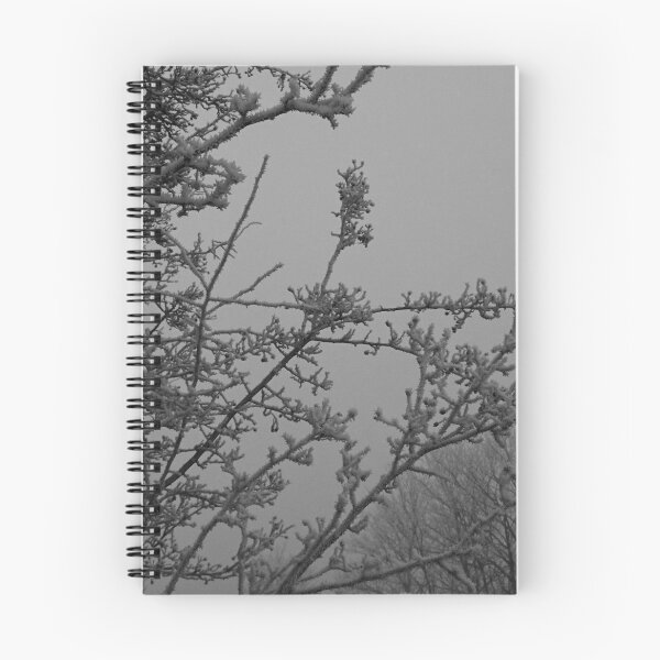 Item preview, Twigs in frost and fog (monochrome), Hob Moor, York designed and sold by paulboizot.