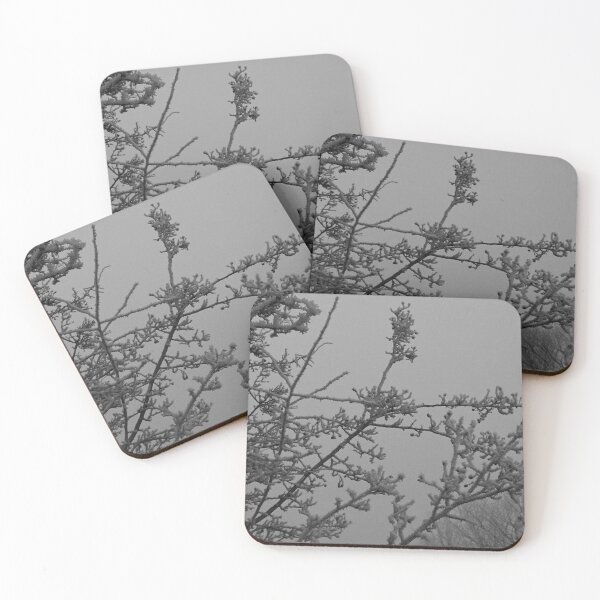Item preview, Twigs in frost and fog (monochrome), Hob Moor, York designed and sold by paulboizot.