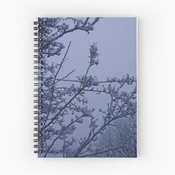 Item preview, Twigs in frost and fog, Hob Moor, York designed and sold by paulboizot.