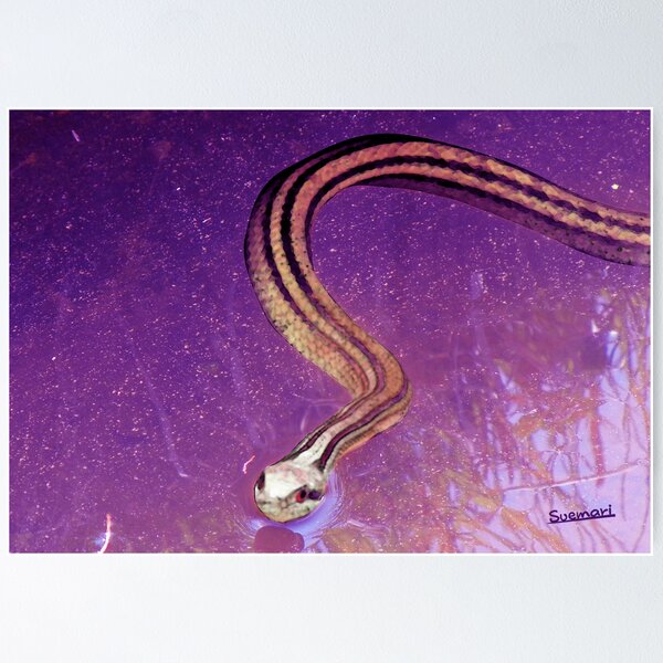 Snake Planet Poster