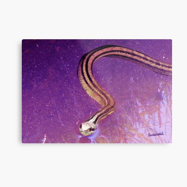 Snake Planet Metal Print