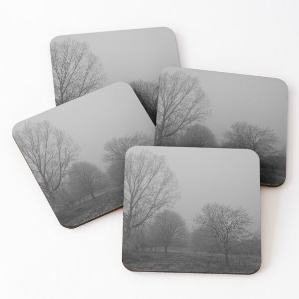 Item preview, Trees in frost and fog (monochrome), Hob Moor, York designed and sold by paulboizot.