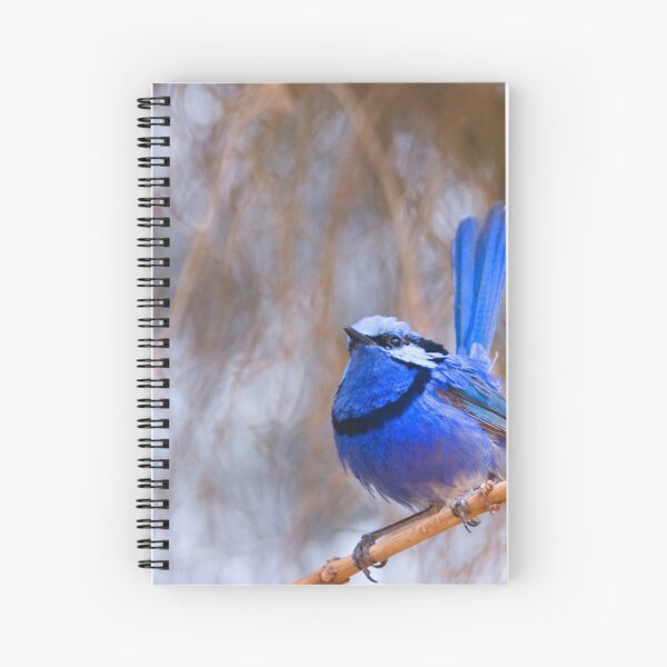 Item preview, Blue Wren Joy designed and sold by Sunshiine - Wendy Slee.