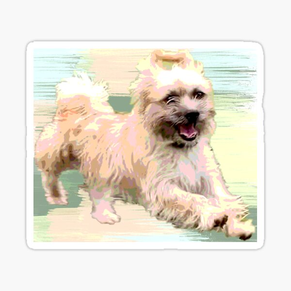 Vera Sticker