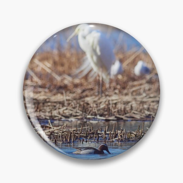 Item preview, He may be big but I am tough. Garganey and Great egret designed and sold by Jouko Lehto Photography.