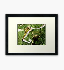 INSECT Framed Print