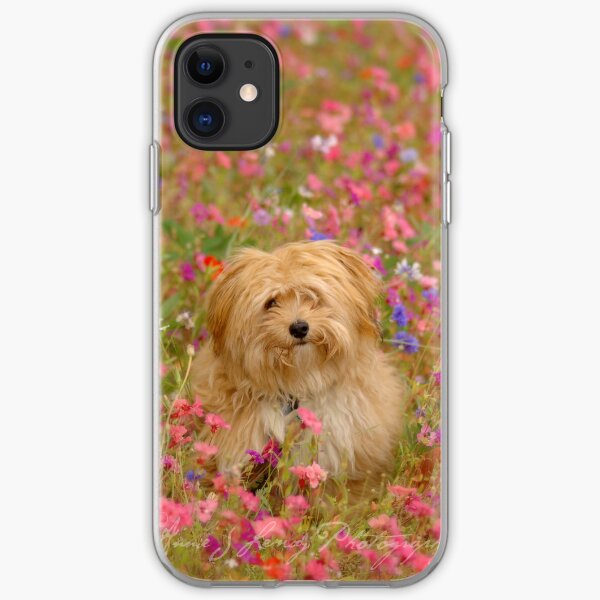 Where is Gizmo? - I Phone Case iPhone Soft Case