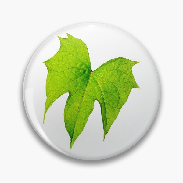 Item preview, Green Leaf designed and sold by Dalyndigital Photography.