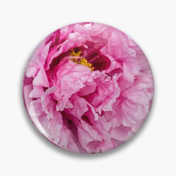 Item preview, On the Rocks - Fragrant Tree Peony Flower in Splendid Pink designed and sold by Georgia Mizuleva.
