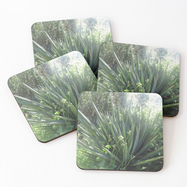 Item preview, Agave designed and sold by Dee121.