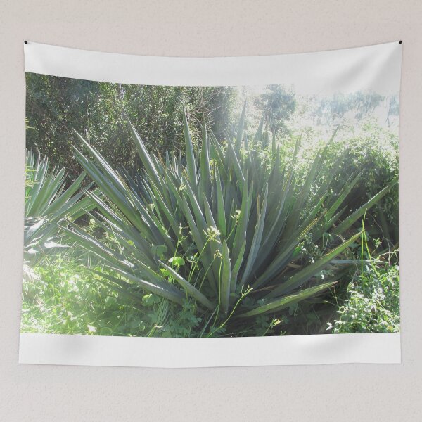 Item preview, Agave designed and sold by Dee121.