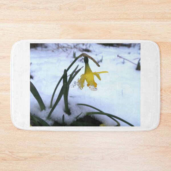 Item preview, daffodil in the snow designed and sold by 6059.