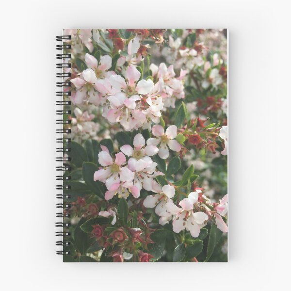 Item preview, Spring Blossoms designed and sold by Nicola Boden.