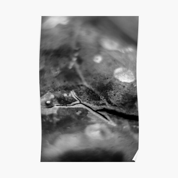 5 Below Posters Redbubble