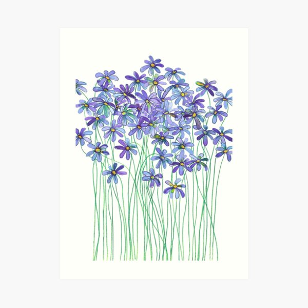 Purple Daisies in Watercolor & Colored Pencil Art Print