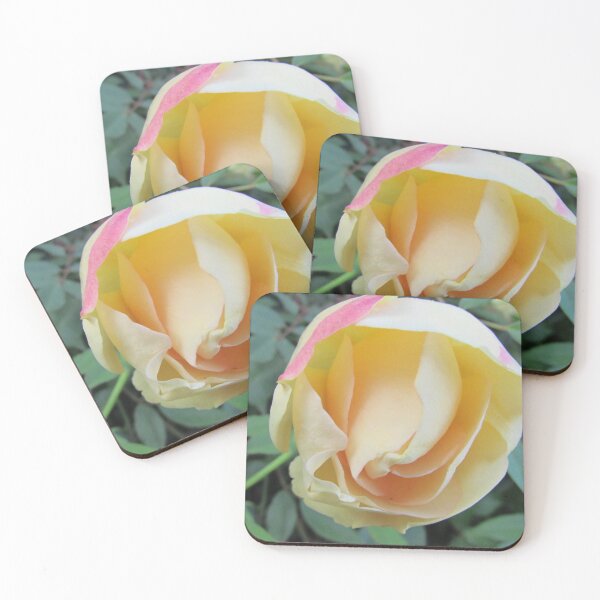 Item preview, garden Rose designed and sold by Dee121.