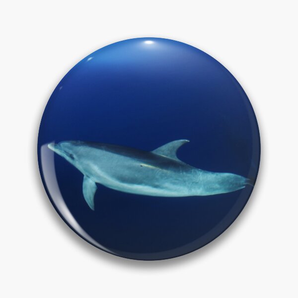 Item preview, Dolphin and blues designed and sold by chloeyzoard.