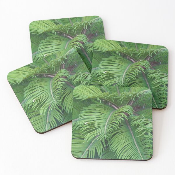 Item preview, Closeup of low palm tree designed and sold by S-Yaneva.