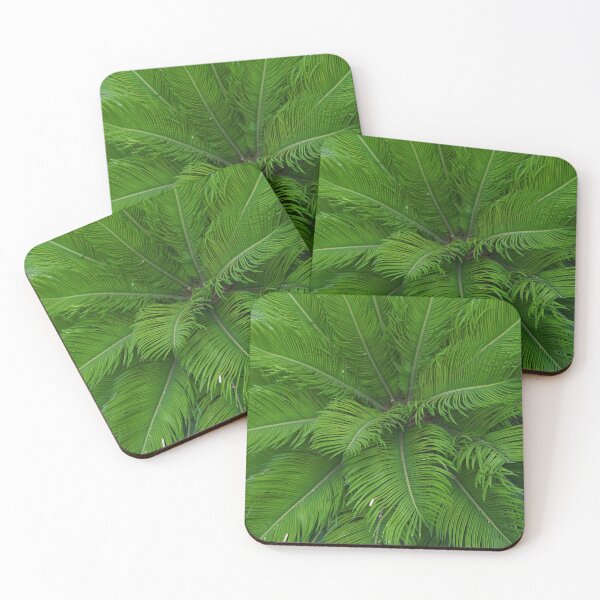 Item preview, Close up of low palm tree designed and sold by S-Yaneva.
