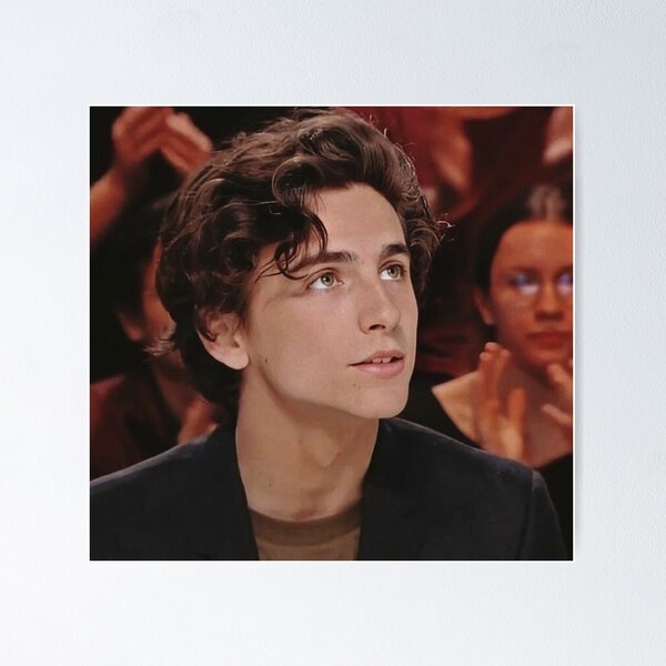 Item preview, Timothee chalamet  designed and sold by hala-.