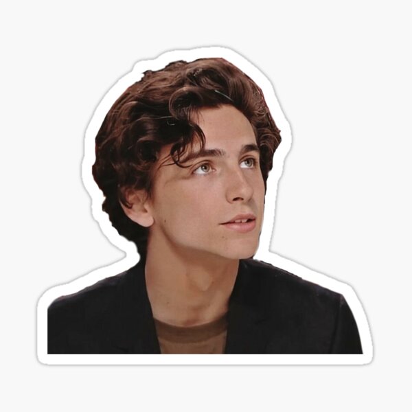 Timothee chalamet Pegatina