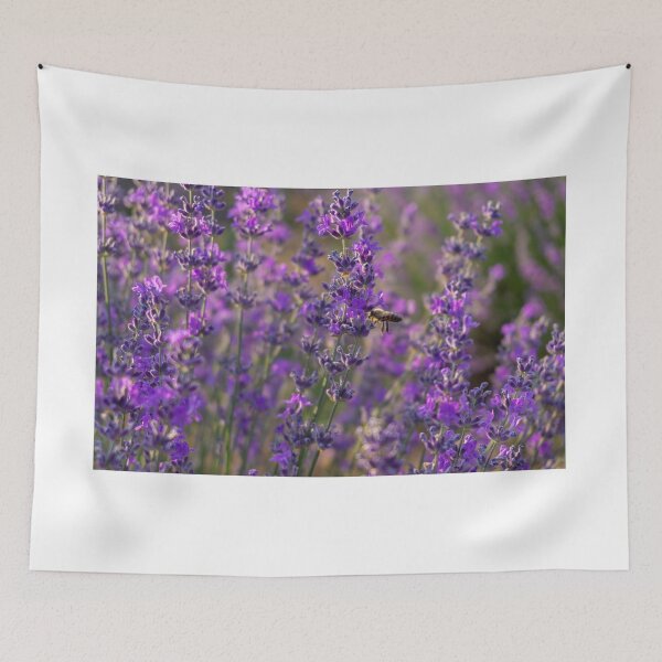 Item preview, Honey bee working in lavender field designed and sold by S-Yaneva.