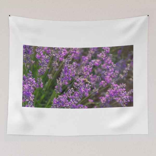 Item preview, Honey bee working in a lavender field designed and sold by S-Yaneva.