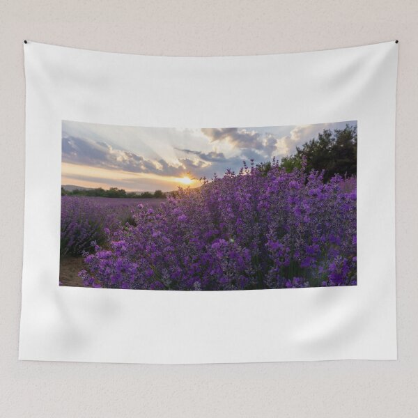 Item preview, Sunset above lavender field designed and sold by S-Yaneva.