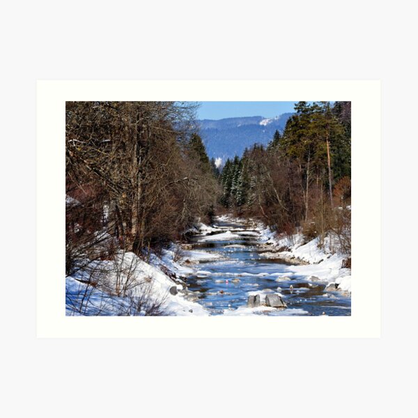 germany, winter brook Art Print