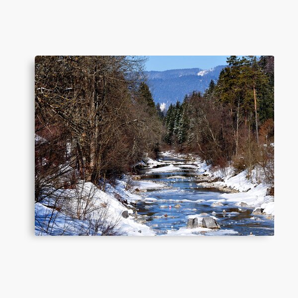 germany, winter brook Canvas Print