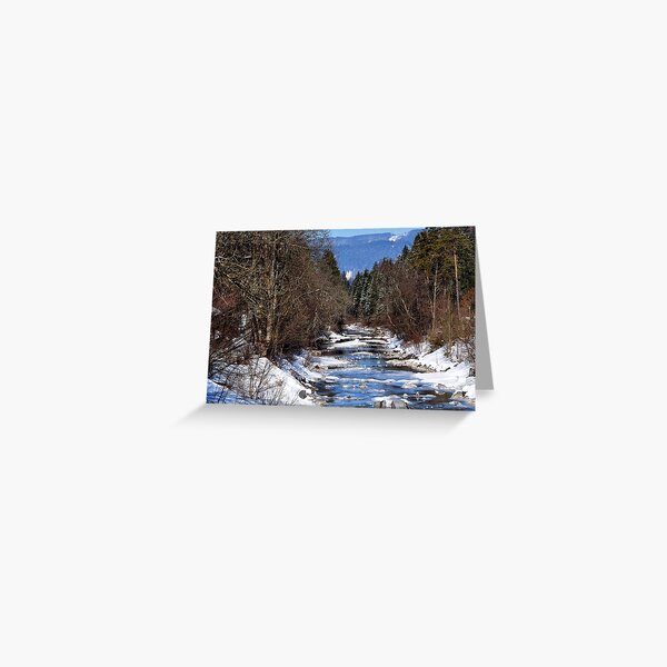 germany, winter brook Greeting Card