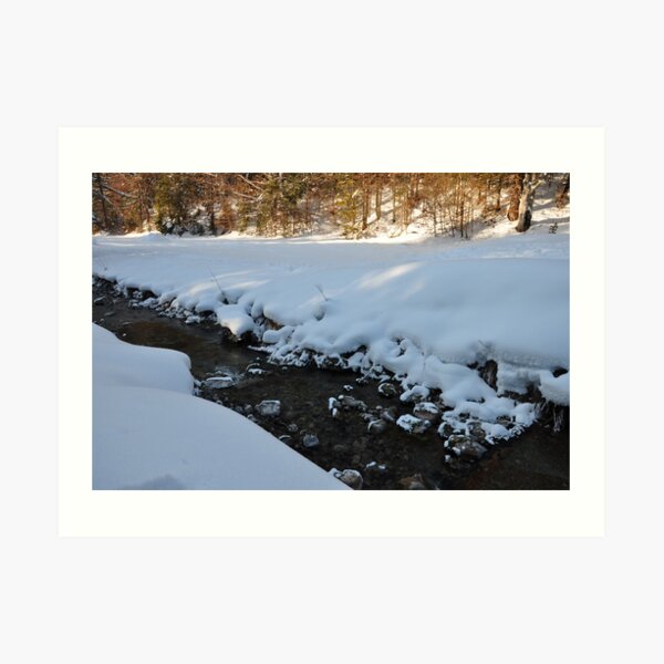 germany, winter brook 2 Art Print