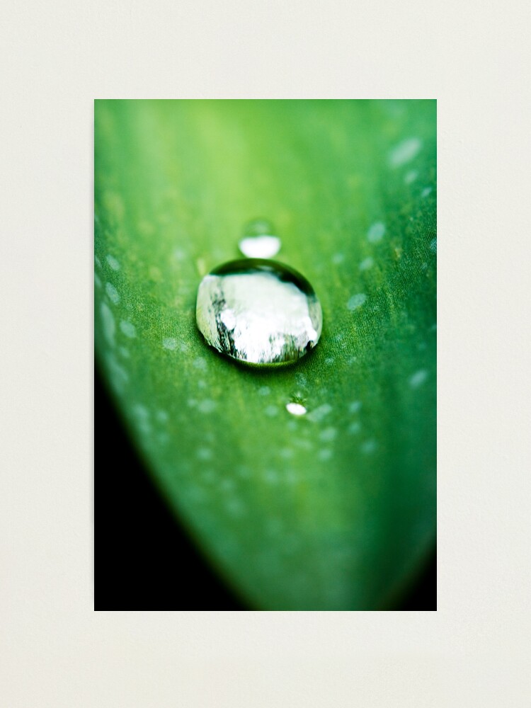 Alternate view of Day 240 - 6th March 2012 Photographic Print