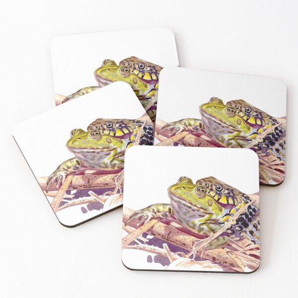 Item preview, Grass Snake eating Edible Frog designed and sold by kokayart.