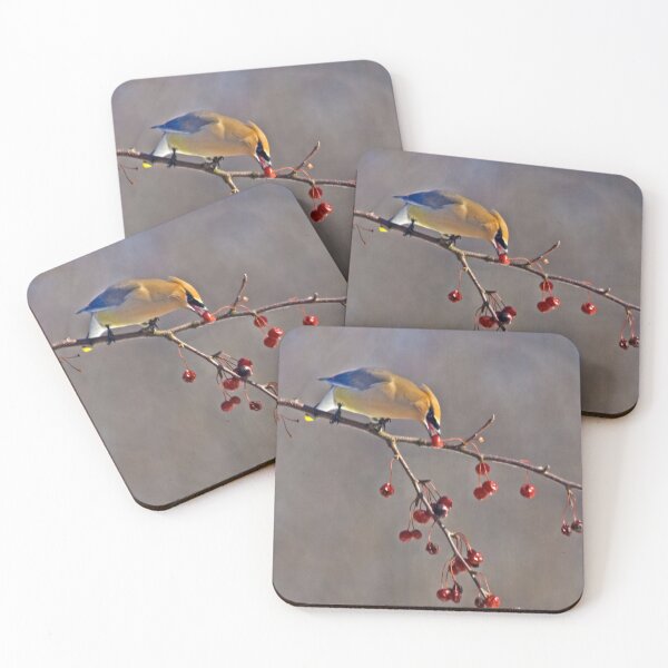 Item preview, Hungry Waxwing designed and sold by Kathy Weaver.