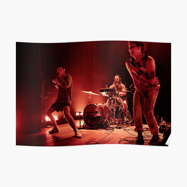 CANVAS Pearl Jam Perfoming at Lollapalooza Art print POSTER