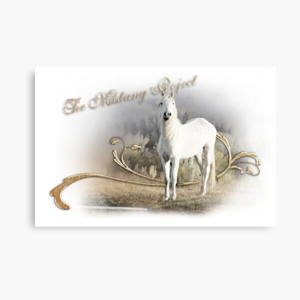 Shinning Spirt Canvas Print