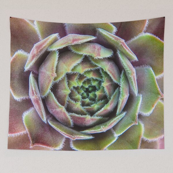 Item preview, Succulent designed and sold by shotsfromthehip.