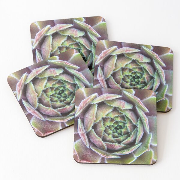 Item preview, Succulent designed and sold by shotsfromthehip.