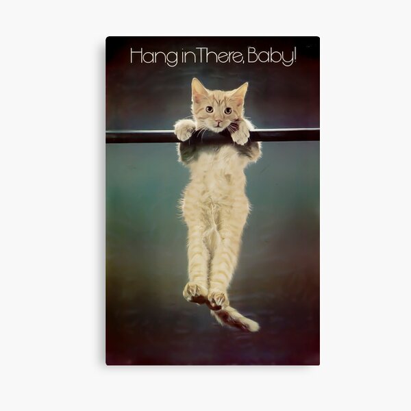 Item preview, Hang in there designed and sold by nicomazz.